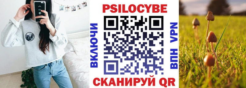 KRAKEN ссылка Кудымкар Псилоцибиновые грибы Psilocybine cubensis
