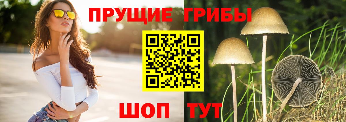 Галлюциногенные грибы Magic Shrooms Кудымкар