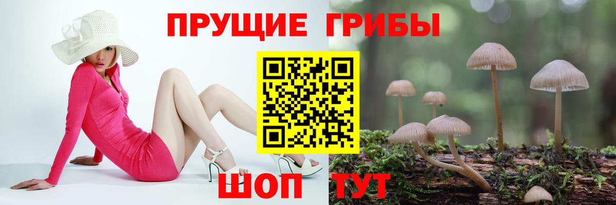 Кудымкар  Псилоцибиновые грибы ЛСД  Псилоцибиновые грибы прущие грибы  Вход с VPN 